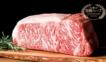 京阪グループ×パナソニック パンサーズ連携企画１１月１３日(土)・１４日(日)のパンサ―ズ主催試合を「京阪コラボデー」として実施します。