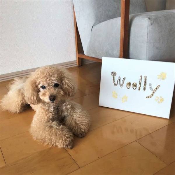 ネコちゃん・ワンちゃんの手足形をボードに残す　ペット向け「ビジューボード」のオーダーを12/9に開始