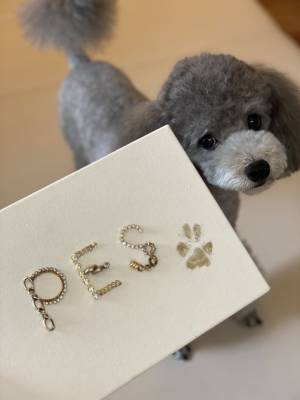 ネコちゃん・ワンちゃんの手足形をボードに残す　ペット向け「ビジューボード」のオーダーを12/9に開始