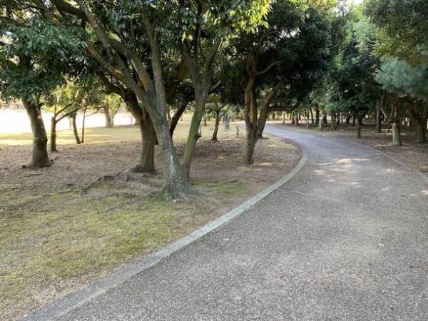 ウィズ・コロナ時代の公園と湾岸の新しい魅力をつくる社会実験「アーバンアウトドア＆フィッシングフェスin忠岡町」　2021年11月20・21日　忠岡町新浜緑地にて実施