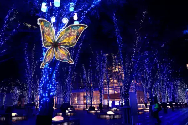 国内初の参加型ライトアップ「Light Play」も同時開催「たまアリ△タウン けやきひろばイルミネーション2021-22」