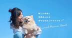 「ブリーディング卒業犬猫に新たな家族を」株式会社AHBの挑戦　金沢市もりの里に12月1日(水)専門店『パートナープラス』をオープン
