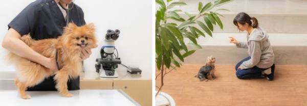 「ブリーディング卒業犬猫に新たな家族を」株式会社AHBの挑戦　金沢市もりの里に12月1日(水)専門店『パートナープラス』をオープン