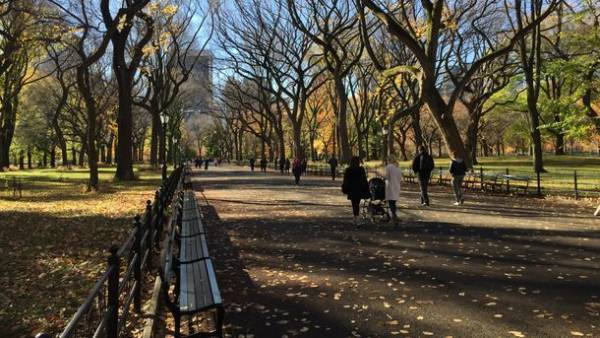 工学院大学2021年度刊行書籍のご案内