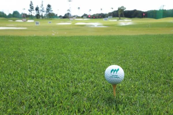 延田グループ　～地域・地球にやさしい活動を～SDGsの取り組み、環境に配慮したCO2フリー電気を導入