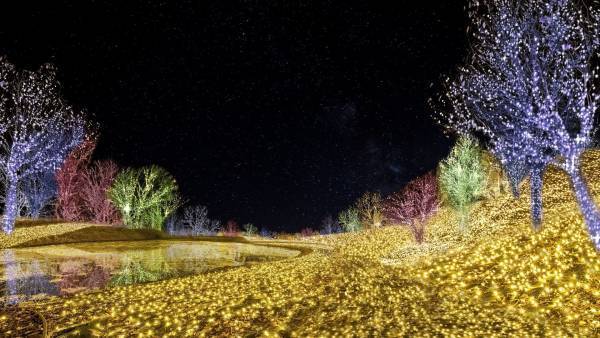 ネスタリゾート神戸まばゆい「光」に輝く「ネスタイルミナ～光のさんぽみち～」が5年連続関西No.１※注1に！