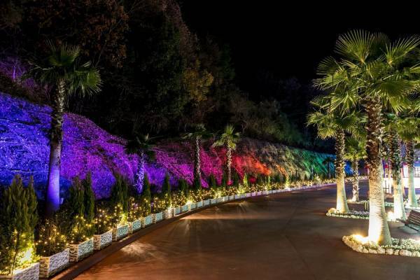 ネスタリゾート神戸まばゆい「光」に輝く「ネスタイルミナ～光のさんぽみち～」が5年連続関西No.１※注1に！