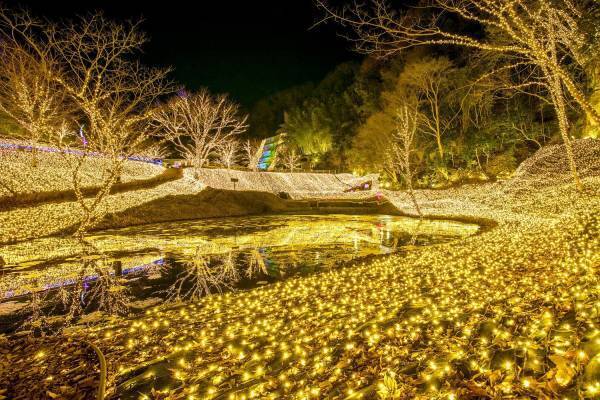 ネスタリゾート神戸まばゆい「光」に輝く「ネスタイルミナ～光のさんぽみち～」が5年連続関西No.１※注1に！