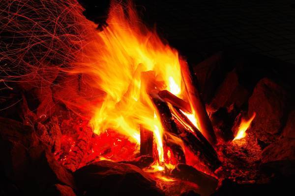 ネスタリゾート神戸まばゆい「光」に輝く「ネスタイルミナ～光のさんぽみち～」が5年連続関西No.１※注1に！