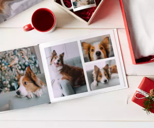 ビスタプリントの人気商品「フォトブック」が木更津市のふるさと納税返礼品として取り扱い開始