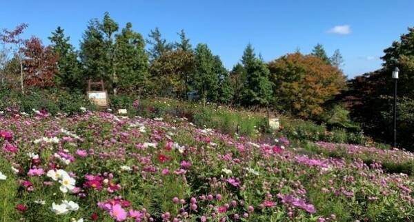 　「びわ湖の絶景と紅葉を楽しむ秋のスペシャルキャンペーンを開催」