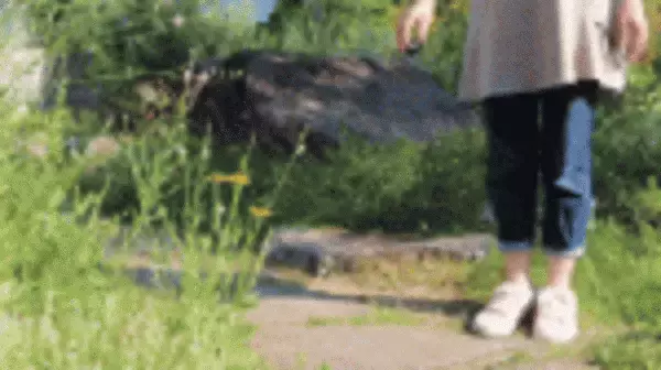 無敵のライト Sharvol S1 LEDコンパクトライト　クラファン目標金額5669％を達成