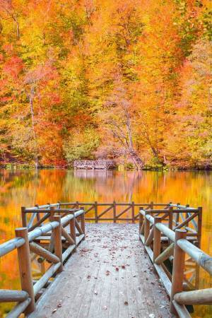 【トルコ共和国大使館・文化広報参事官室】世界中の自然愛好家に好まれるトルコの7つの国立公園　～国内最高級の観光とアクティビティを楽しむことができる～