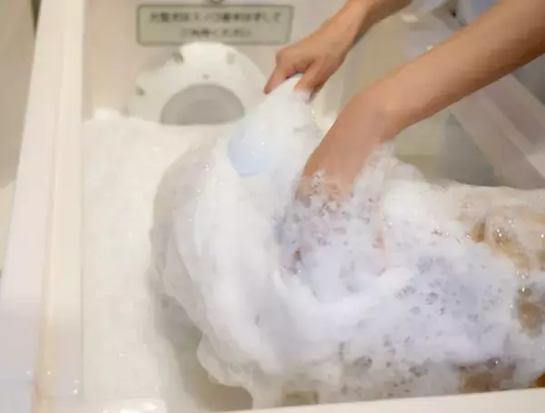 ワンちゃん専用！シャワーヘッドから泡で出てくるシャンプーwithマイクロバブル「マイクロクリーミー泡シャンプーシステム」を発売