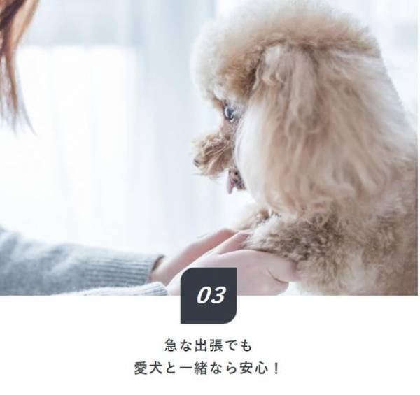 都市型ホテルで愛犬と一緒に泊まれる！ホテルリブマックスが「Dog×Stay」プランを販売開始