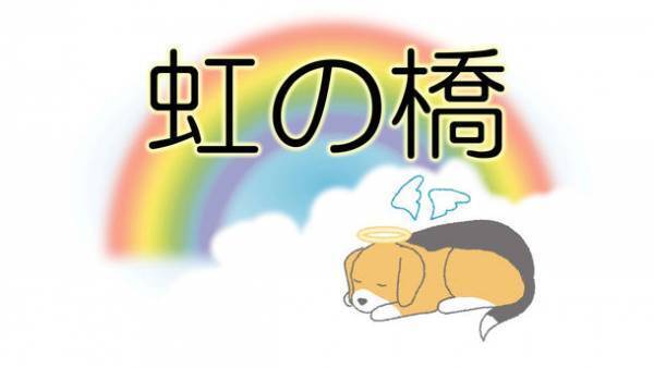 愛ペットグループが全世界で知られている詩『虹の橋』を元に新たに書き下ろした動画をYouTubeにて公開