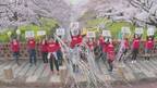 岩倉市民400名以上が参加！市制50周年記念動画がお披露目に！～桜満開の五条川をドローンで撮影～