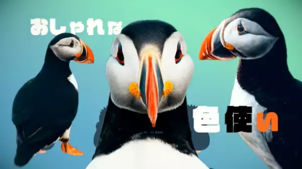 物語から音楽を作るユニット・オノマトペルが、北欧・アイルランドのベストセラー絵本「Where Are You, Puffling?」のテーマソングに続きパフィンの絵描き歌を11/17にリリース！