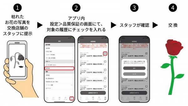 お花のサブスクリプションサービス「ハナノヒ」の交換対象切り花の「5日間品質保証」サービスを2021年11月18日(木)から開始