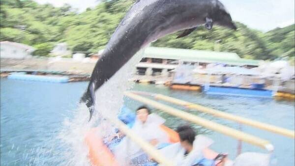 テレビ静岡からのお知らせ　グルメ、スポット、ヒト…。静岡のイマ一番推したいモノはコレだ！！「静岡35市町 推してみぃ～賞」