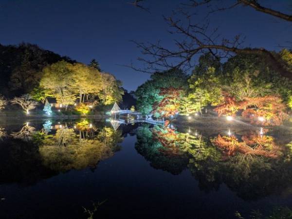 “町田の秋”の風物詩　東京都町田市・薬師池「紅葉まつり」を11月末まで開催　11月28日(日)まで紅葉ライトアップを実施