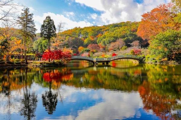 “町田の秋”の風物詩　東京都町田市・薬師池「紅葉まつり」を11月末まで開催　11月28日(日)まで紅葉ライトアップを実施