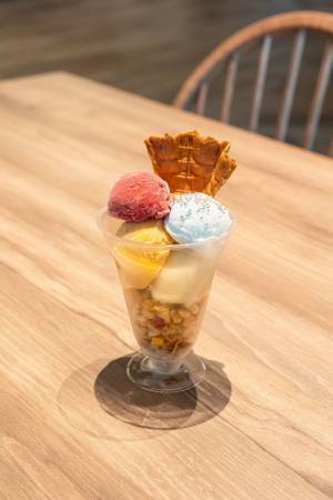 水族館の生き物たちと過ごす至福のひととき　アクアワールド・大洗から2日限りの特別な夜をプレゼント！