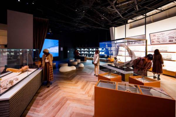 水族館の生き物たちと過ごす至福のひととき　アクアワールド・大洗から2日限りの特別な夜をプレゼント！