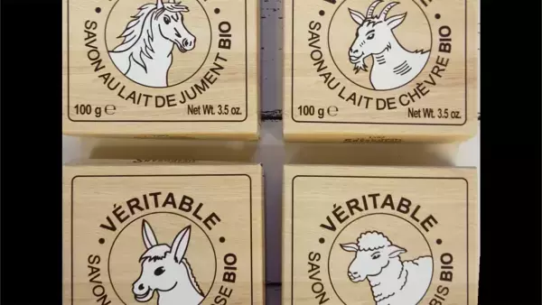 「Makuake」にて“サステナブル”をテーマにオンライン催事「サステマ～サステナブル雑貨マーケット～」第2弾を開催