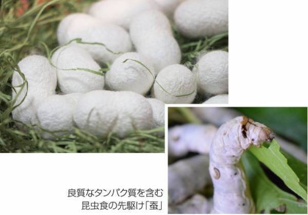 SDGsを考えて作られたドッグフード「はぐみぃ」　OEM受託開発・生産を11月に本格スタート