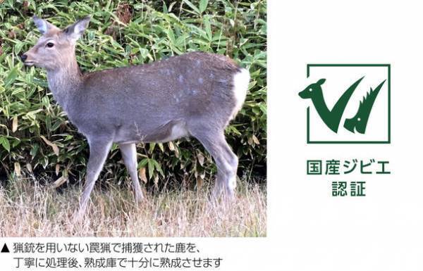 SDGsを考えて作られたドッグフード「はぐみぃ」　OEM受託開発・生産を11月に本格スタート