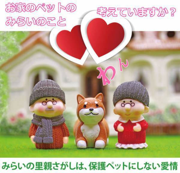 全国の保健所、愛護センターへ、保護犬や保護猫の譲渡登録依頼を12月1日より開始