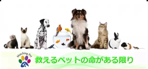 保護ペットや高齢化によりペットを手放す方のためのマッチングサイト「Matching Pet／マッチングペット」が全国市町村1,900箇所あてにパンフレットを12月15日より配布