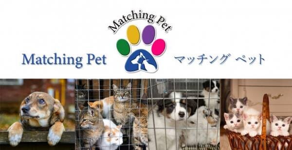 保護ペットや高齢化によりペットを手放す方のためのマッチングサイト「Matching Pet／マッチングペット」が全国市町村1,900箇所あてにパンフレットを12月15日より配布