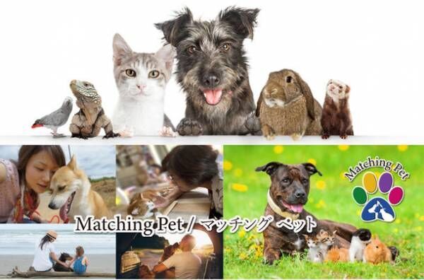 保護ペットや高齢化によりペットを手放す方のためのマッチングサイト「Matching Pet／マッチングペット」　2021年12月末までの登録で2022年6月末まで無料で利用可能！