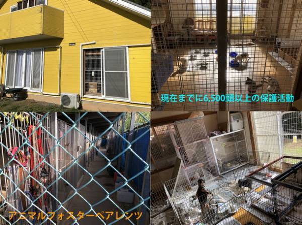 保護ペットや高齢化によりペットを手放す方のためのマッチングサイト「Matching Pet／マッチングペット」　2021年12月末までの登録で2022年6月末まで無料で利用可能！