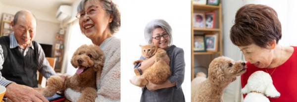 保護ペットや高齢化によりペットを手放す方のためのマッチングサイト「Matching Pet／マッチングペット」　2021年12月末までの登録で2022年6月末まで無料で利用可能！