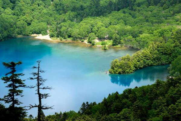 長野県志賀高原に、カメラマンが集うスペース「志賀高原フォトグラファーズセンター」が12月1日にオープン