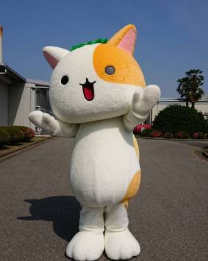 「ネコかっぱアイちゃん」Instagramスタート！　アイオンドルフィンズオリジナルグッズに超吸水タオル動物シリーズ柄も登場