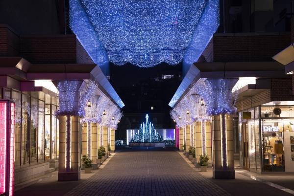 ペーパーアートと自然が融合した冬のイルミネーション