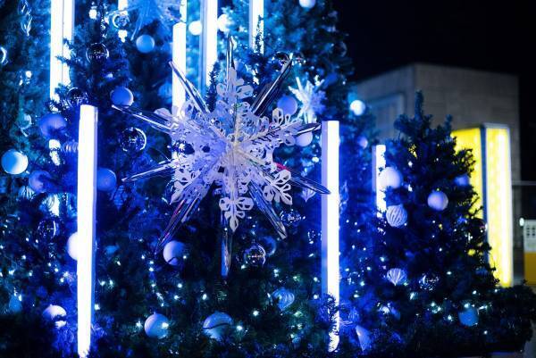 ペーパーアートと自然が融合した冬のイルミネーション