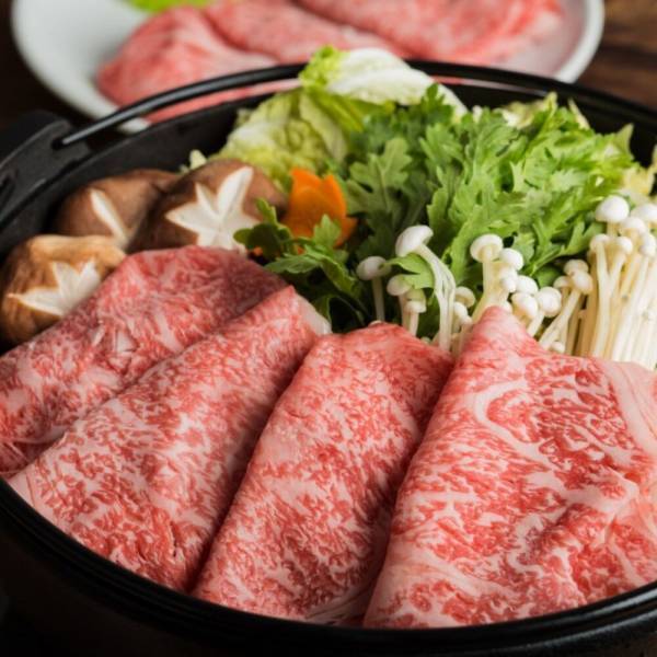 ペーパーアートと自然が融合した冬のイルミネーション