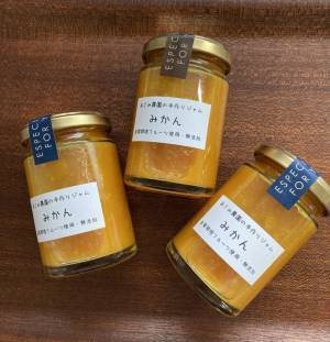 ペーパーアートと自然が融合した冬のイルミネーション