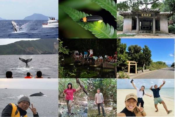 団体向け沖縄離島オンライン貸切ツアー受付開始のお知らせ　～期間限定の沖縄離島の特産品【送料無料】特典付き～