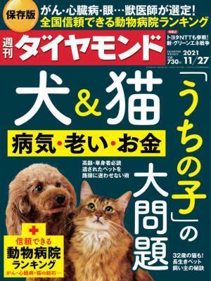 犬と猫の整形外科治療に特化した動物病院「ONEどうぶつ整形外科センター」が、獣医師が選ぶ信頼できる動物病院ランキング【整形外科編】(週刊ダイヤモンド)にて日本で1位を獲得