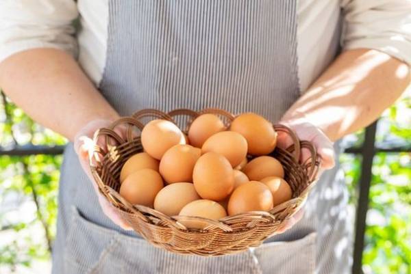 わずか60分で売り切れ！パティシエが1095日かけてたどり着いた「3年ごしのきみのチーズケーキ」12月1日(水)よりクリスマス限定セットを予約開始！