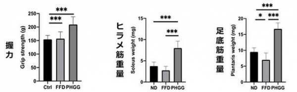 グアーガム分解物、糖尿病モデルマウスのサルコペニア肥満を抑制することが明らかに　第19回日本機能性食品医用学会総会で発表