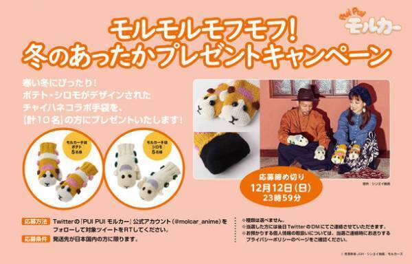 あのモルカーがまたまた帰ってくる！放送1周年記念！TVアニメ 『PUI PUI モルカー』2022年1月4日より毎週火曜あさ7時30分～再々放送決定！