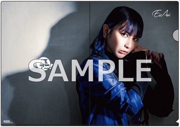 1冊まるごと藍井エイルを特集したリスアニ！別冊シリーズの最新号「藍井エイル音楽大全」は本日11月30日（水）発売！