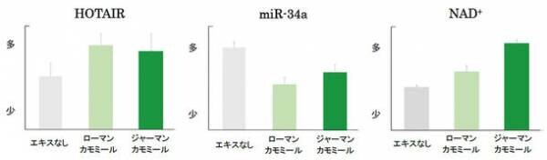 老化抑制に重要な長寿遺伝子「SIRT1」の活性化に欠かせない「NAD+」の量を増やす2つの植物エキスを発見　～第44回日本分子生物学会年会にて発表～